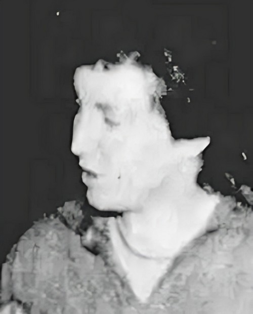 Dana Tidmore