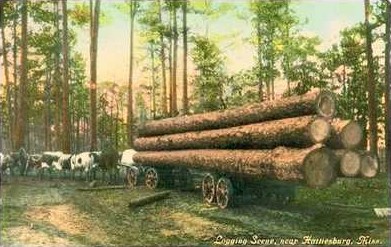 Logging Operation