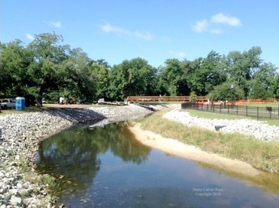 A creek on a bright sunny day