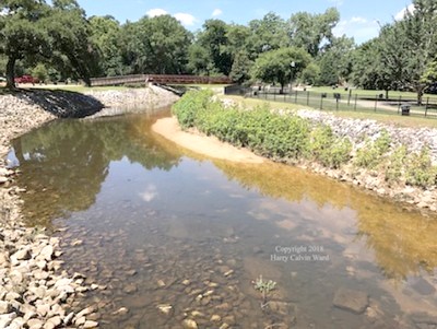 A creek with shallow water and a rock bottom