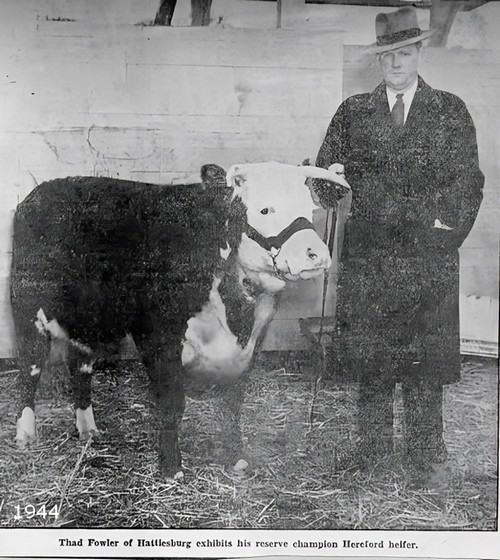 1944- Thad Fowler at a livestock show